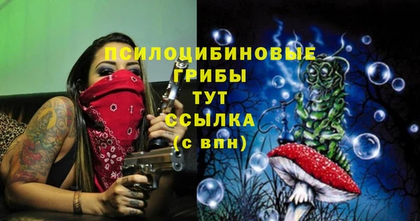 ГАЛЛЮЦИНОГЕННЫЕ ГРИБЫ Верхний Тагил