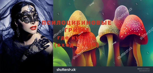 меф Богородицк