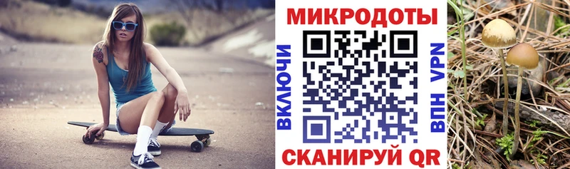 shop телеграм  Старица  Псилоцибиновые грибы мицелий  купить   ссылка на мегу ссылки 